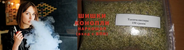 apvp Арсеньев