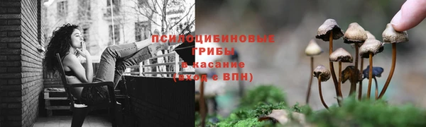 бошки Аркадак