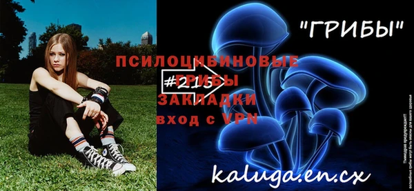 apvp Арсеньев