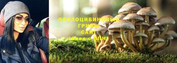 стаф Армянск