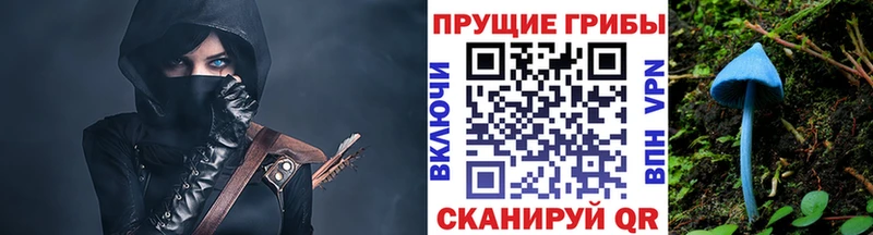 где купить наркоту  Барабинск  Галлюциногенные грибы ЛСД 