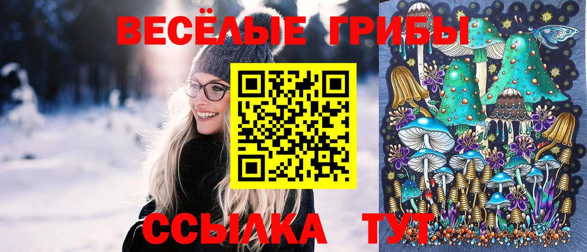 Псилоцибиновые грибы Psilocybe  Вход с VPN  Барабинск 